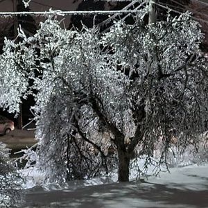 Meet your Posher, Bobby